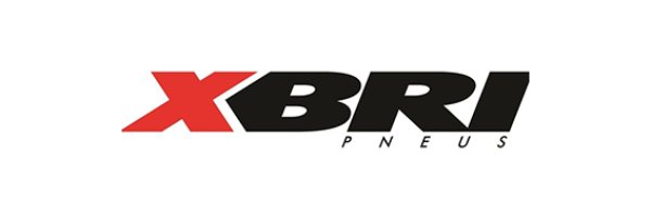 Logo XBRI